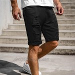 LowProfile Ripped Shorts for Men Summer Beach Casual Comfy Distressed Destroyed Denim Pants Fashion Bermuda Jeans a24