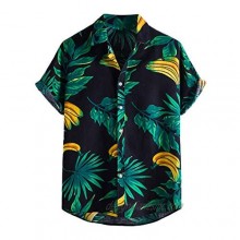 FUNEY Men's Regular-fit Short-Sleeve Poplin Shirt Casual Striped T Shirts Loose Fit Button Down Shirt Summer Beach Tops