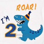 AMZTM Dinosaur Birthday T Shirt 2nd Birthday Party Dino B-Day Boys Tee Gift