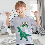 Dinosaur Big Brother Announcement T Shirt Sibling Outfits for Toddler Boys