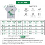 Dinosaur Big Brother Announcement T Shirt Sibling Outfits for Toddler Boys