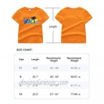 Graphic T Shirts for Boys 5-10 Years 100% Cotton 2/3/4/5/6 Pack Soft and Cute Short Sleeve Tees Machine Wash.