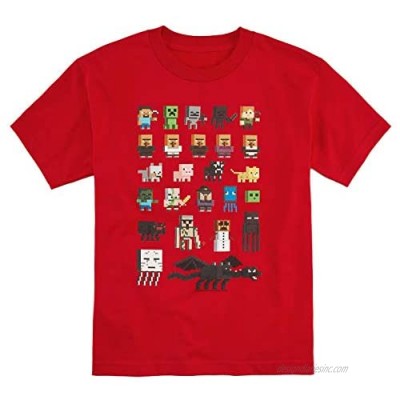 Minecraft Character T-Shirt