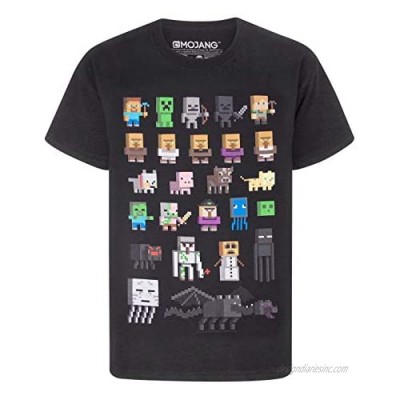 Minecraft T-Shirt Sprites Characters Gamer Gifts Boys Black Short Sleeve Top