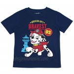 Nickelodeon Boys and Toddlers 3-Pack T-Shirts: Paw Patrol and Blaze