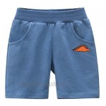 Jagrove Toddler Little Boys Shorts 2 Pack Boys Cotton Sports Shorts with Elastic Waist for 2-7 Years