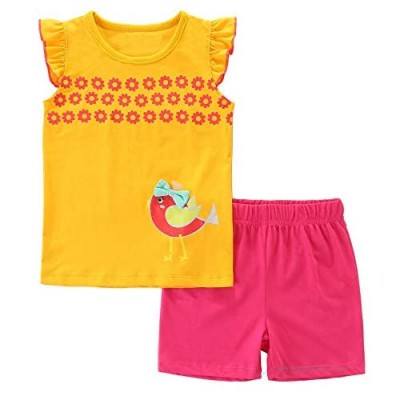 Bumeex Toddler Girls Summer Outfit Cotton Top and Shorts Clothing Set