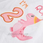 AMZTM Dinosaur 2nd Birthday Shirt Dino Themed B-Day 2 Year Old Baby Girl T-Shirt