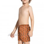 Andrebell Children Boy's Toddler White-Funny-Dinosaur-Dinosaur- Adjustable Waist Cozy Beach Board Shorts Swim Trunks