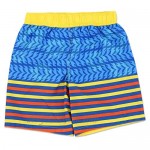 Blaze and the Monster Machines Swim Trunks Bathing Suit