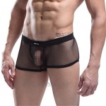 Leories Men's Openwork Mesh Breathable Underwear Lingerie Bodysuit Briefs