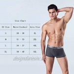 THSISSUE Men's Ice Silk Underwear Breathable Travel Boxer Briefs