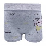 Czofnjesi Little Girls Underwear Toddler Panties Cotton Boyshort 5-Pack